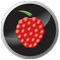 ShavenRaspberry Logo